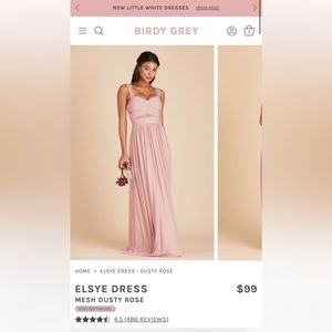 Birdy Grey Bridesmaid dress Elsye Dusty Rose XL